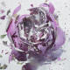 Illustration for article titled Flowers Shatter Like Glass Thanks to Liquid Nitrogen and an Air Gun